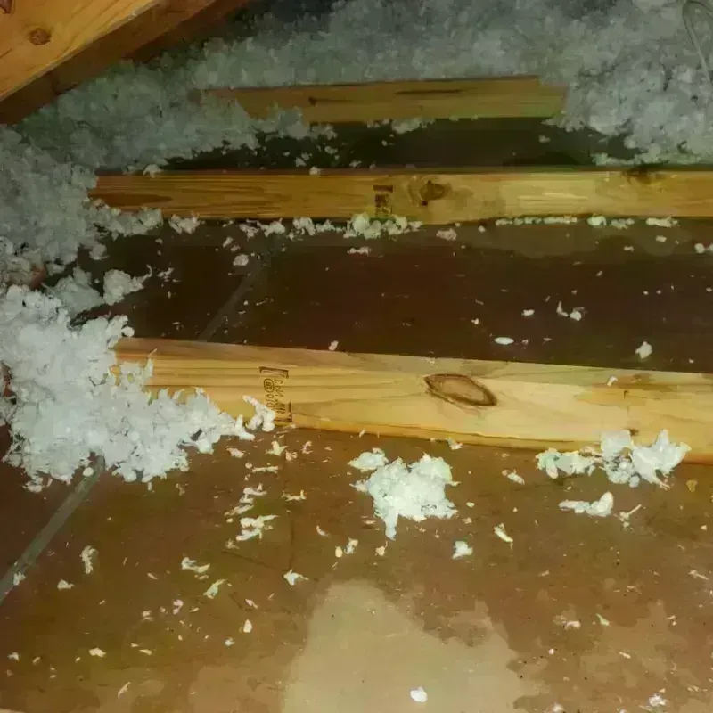 Attic Water Damage in Cullen, LA