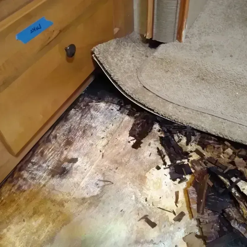 Wood Floor Water Damage in Cullen, LA